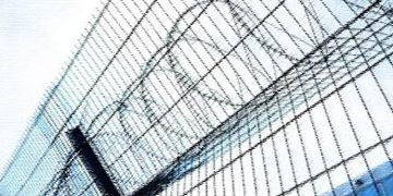 Maryam Rajavi Urges UN Security Council to Act Immediately to Halt Executions and Free Detainees