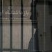 Forced Confessions Lead to 25-Year Sentence for Mother Over Iran Protests