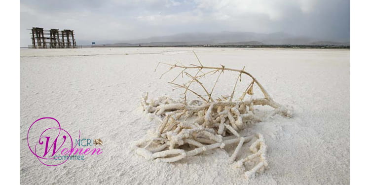 Iran's Water Crisis: Energy Imbalance, Popular Protests, and the Role of Women- Part 2