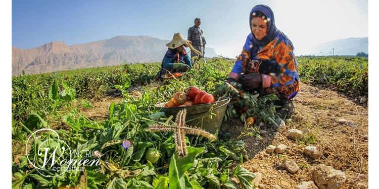 Iran's Water Crisis: Energy Imbalance, Popular Protests, and the Role of Women- Part 2