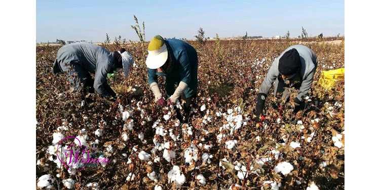Working to Survive: Iranian Women Between Poverty, Exhaustion, and Lack of Labor Protection
