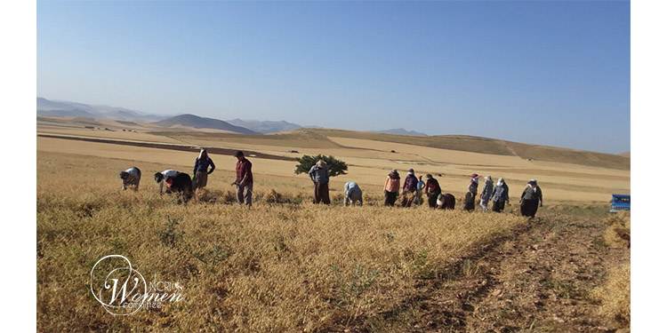 Working to Survive: Iranian Women Between Poverty, Exhaustion, and Lack of Labor Protection